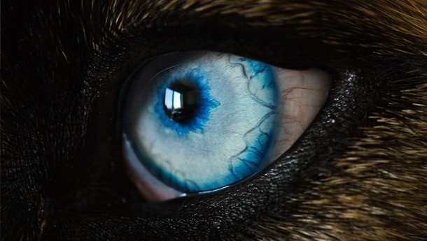 optical2
