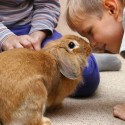 canstockphoto0969918