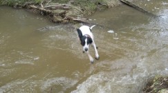 Buster